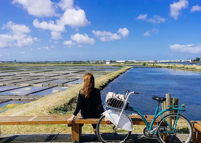 Sun, Pool And إسموريز