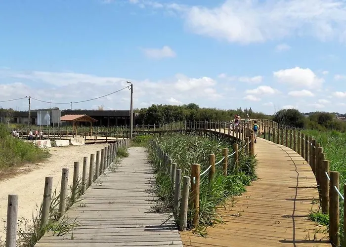 Sun, Pool And شقة