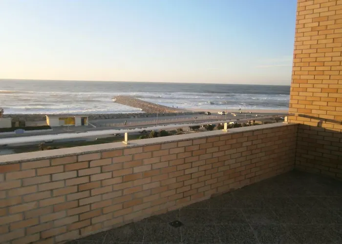 Sun, Pool And Эшмориш